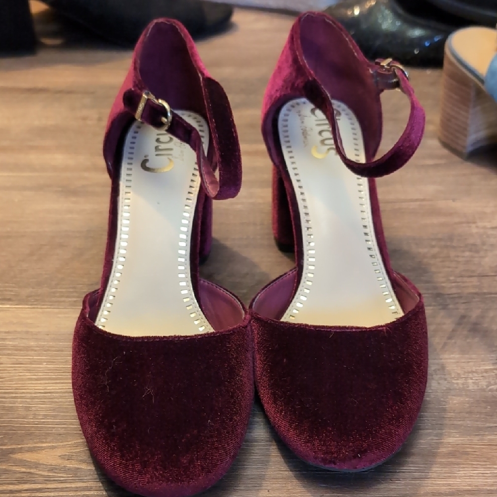 Circus by Sam Edelman Dark Red Velvet Heels